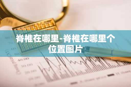 脊椎在哪里-脊椎在哪里个位置图片-第1张图片-芙蓉之城