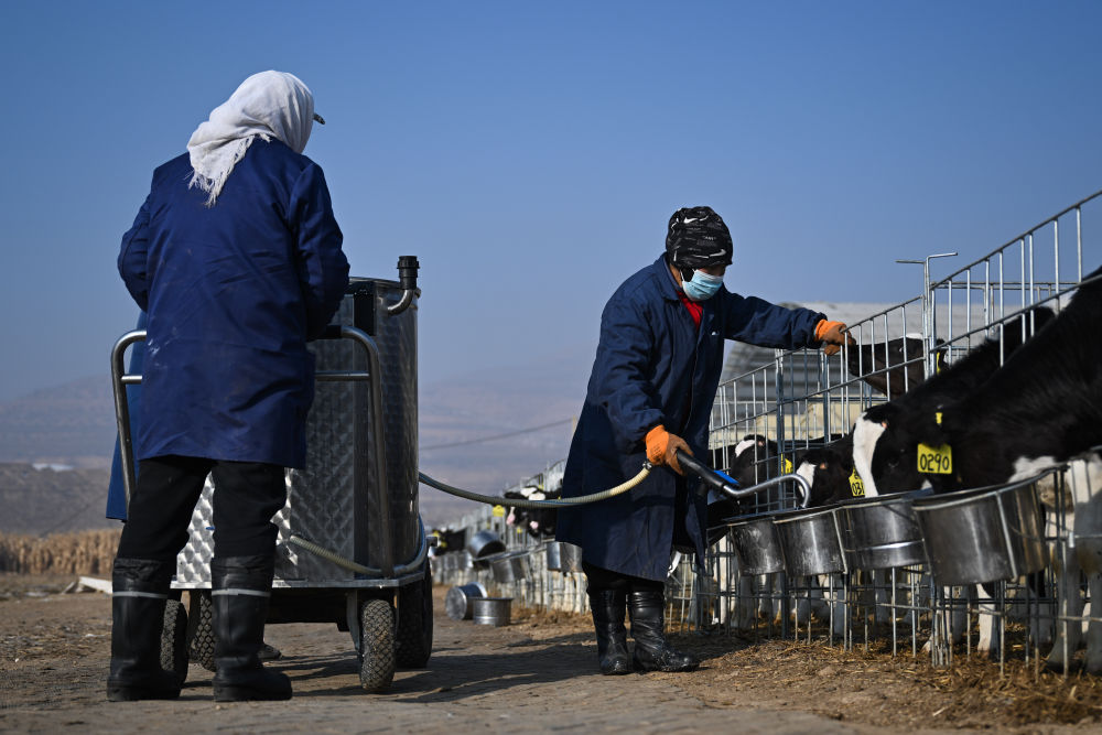 牢牢守住不发生规模性返贫致贫底线——西部脱贫地区“5年过渡期”一线观察-第8张图片-芙蓉之城