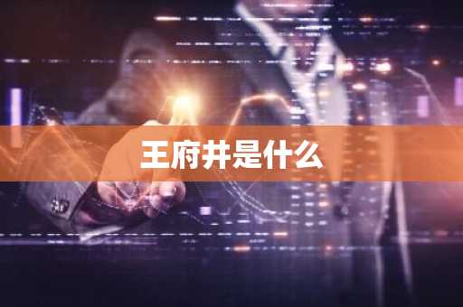 王府井是什么-第1张图片-芙蓉之城