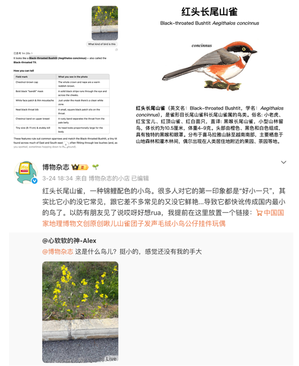 ChatGPT这一波更新 让我在网上不敢发照片了-第12张图片-芙蓉之城