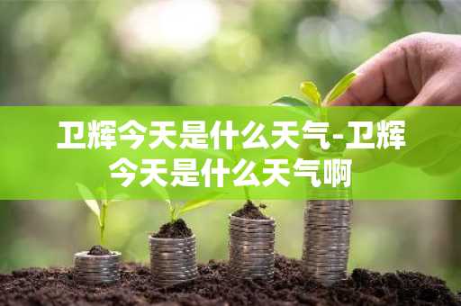 卫辉今天是什么天气-卫辉今天是什么天气啊-第1张图片-芙蓉之城