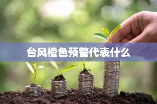 台风橙色预警代表什么-第1张图片-芙蓉之城