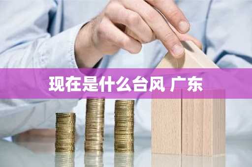 现在是什么台风 广东-第1张图片-芙蓉之城