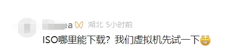 等华为鸿蒙电脑操作系统ISO镜像的没戏了！所有Windows电脑都无法下载安装-第2张图片-芙蓉之城