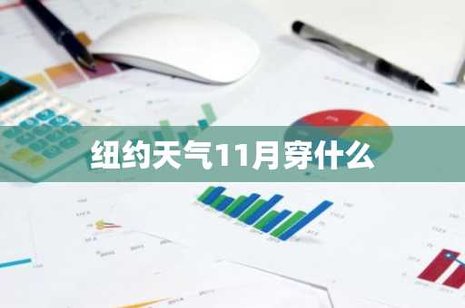 纽约天气11月穿什么-第1张图片-芙蓉之城