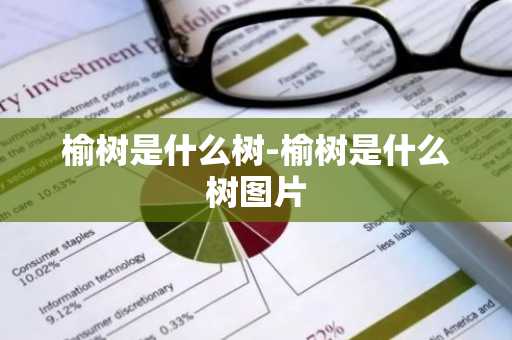 榆树是什么树-榆树是什么树图片-第1张图片-芙蓉之城