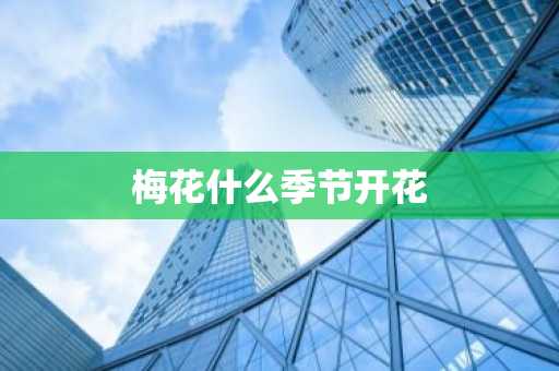 梅花什么季节开花-第1张图片-芙蓉之城