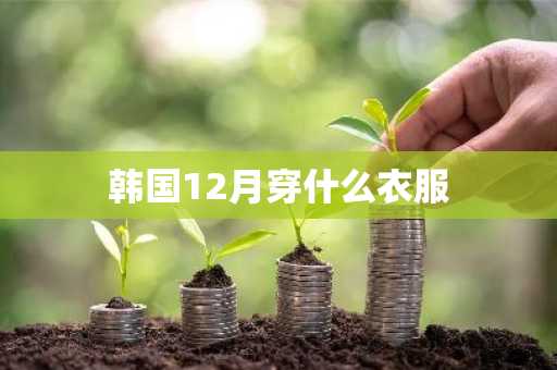 韩国12月穿什么衣服-第1张图片-芙蓉之城