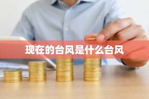 现在的台风是什么台风-第1张图片-芙蓉之城
