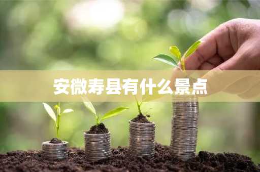 安微寿县有什么景点-第1张图片-芙蓉之城