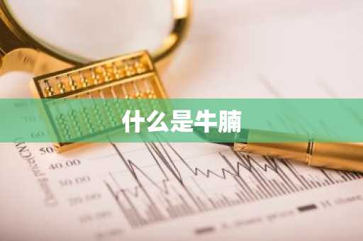 什么是牛腩-第1张图片-芙蓉之城
