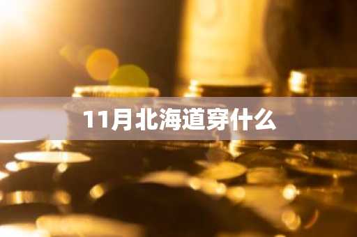 11月北海道穿什么-第1张图片-芙蓉之城